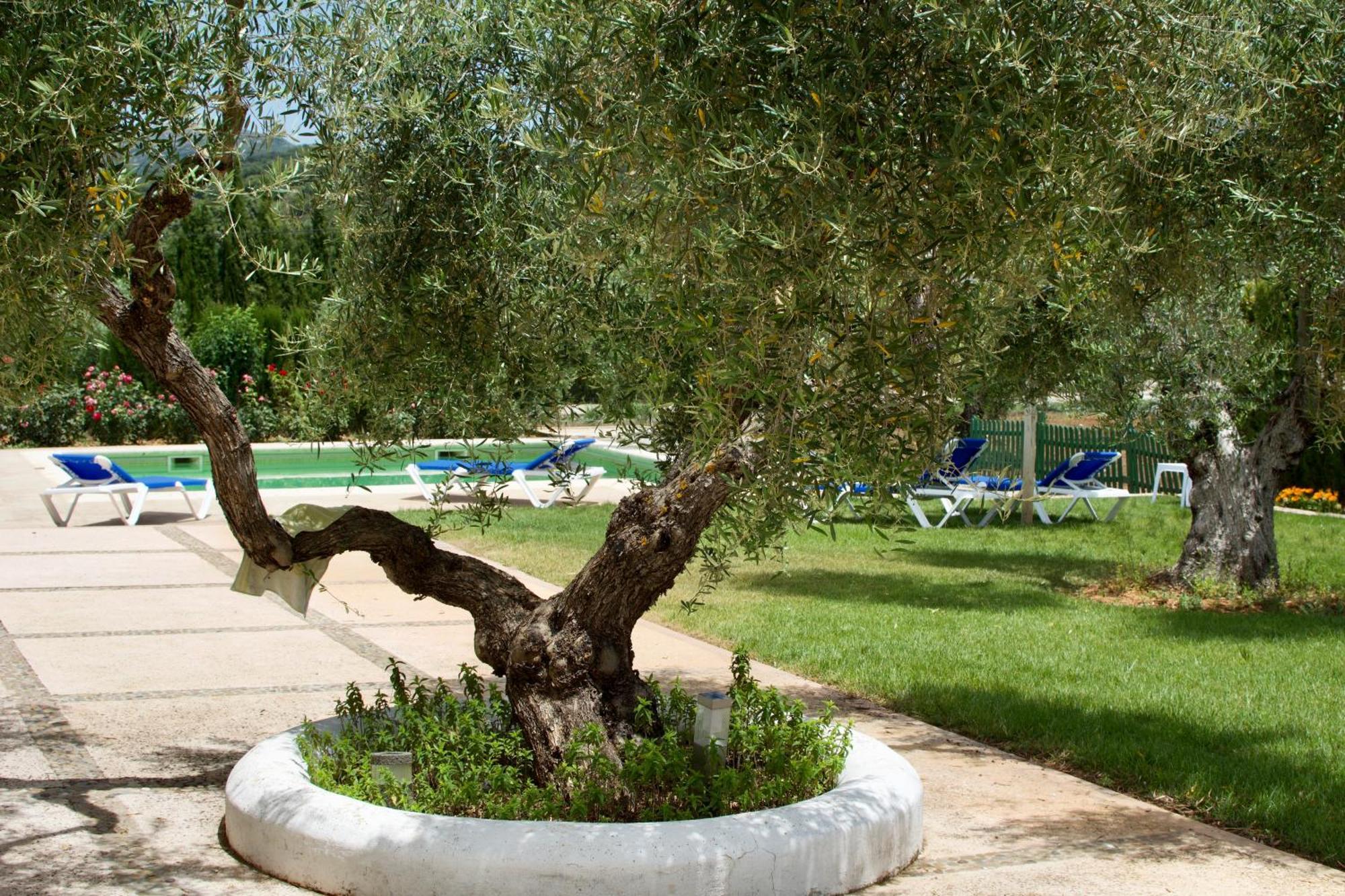 Willa El Carmen Ronda Zewnętrze zdjęcie
